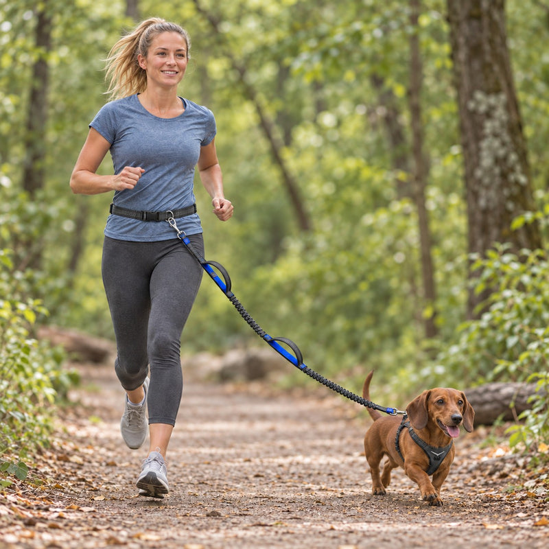 Hardlopen met je hond aan de looplijn